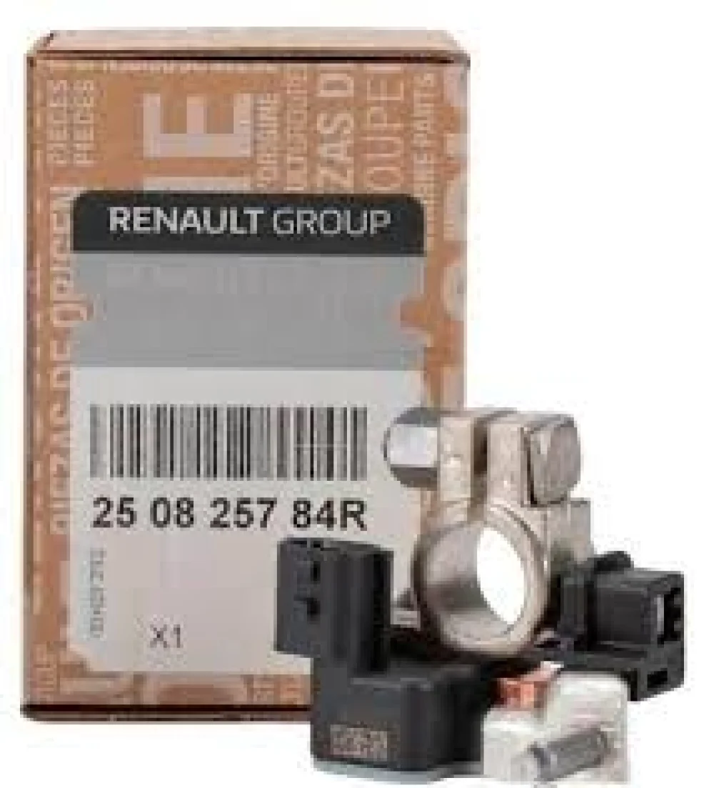 Renault Clio 4 1.5 DCI Aku Gerilim Kaptoru - Renault Mais (Orijinal) - 250825784R